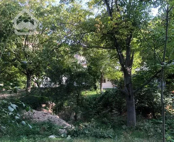 باغ ویلا ۶۰۰۰ متر زرین دشت روستای ماهیان