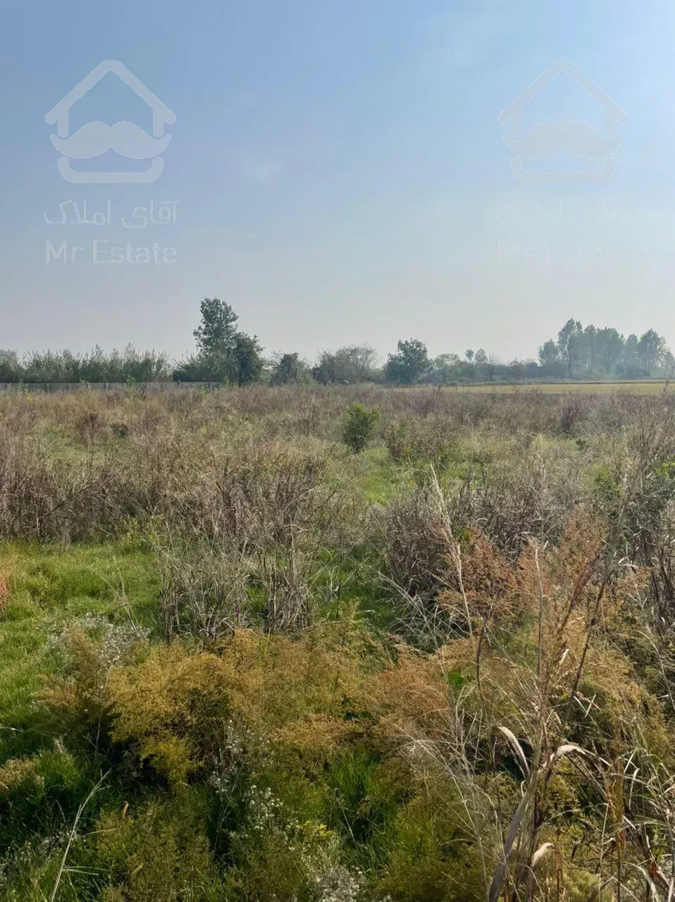 فروش فوری ۳۰۰ متر زمین بافت مسکونی مناسب سرمایه گذاری در جاده سرخرود
