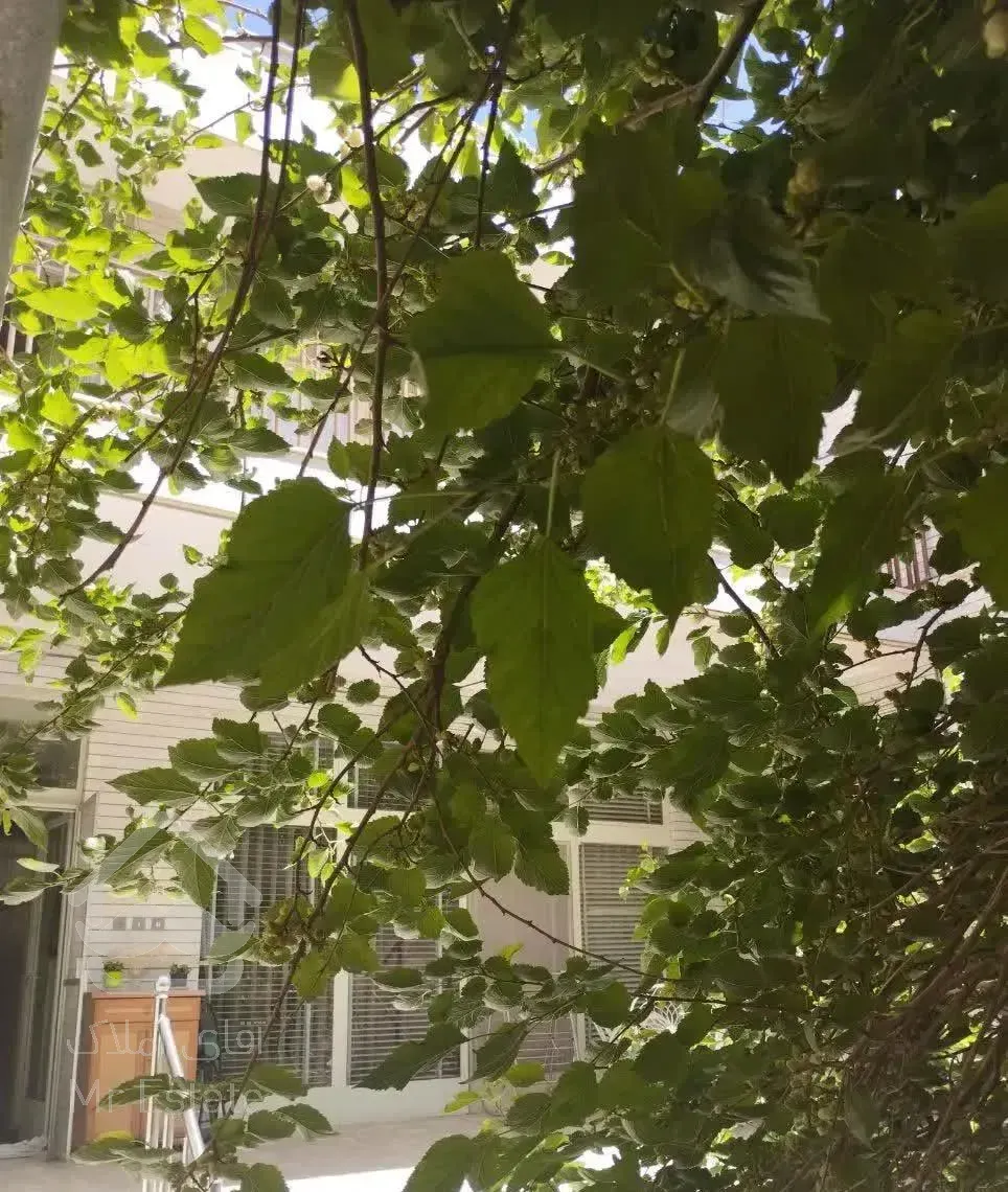 ویلای 218 متری
