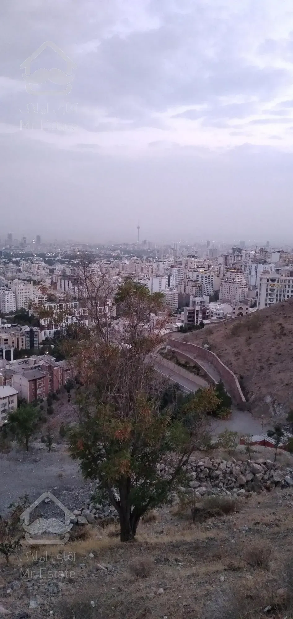 ۱۱۰متر، برج مجلل رونیکا پالاس، پونک