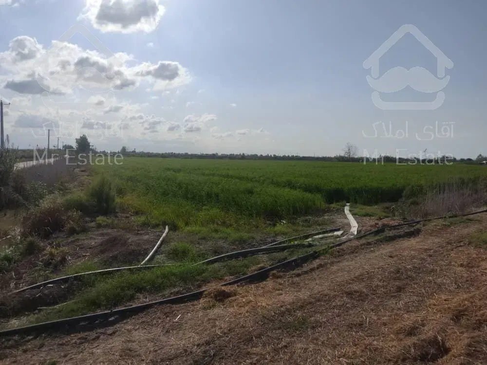 زمین 30 هکتاری در شمال با امکانات بینظیر