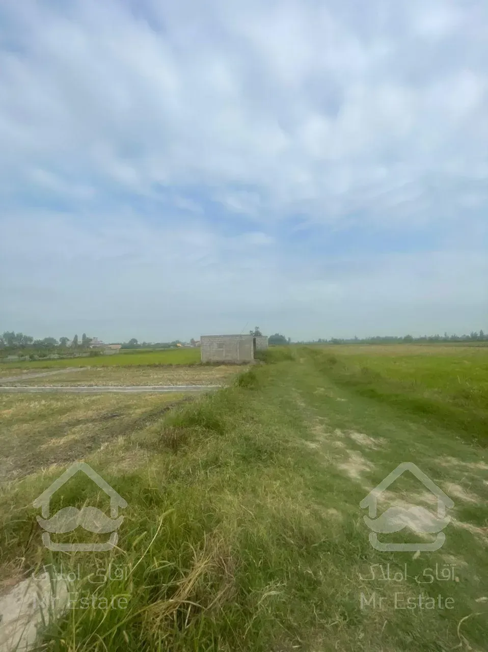 فروش فوری زمین ۲۰۰متری نزدیک دریا