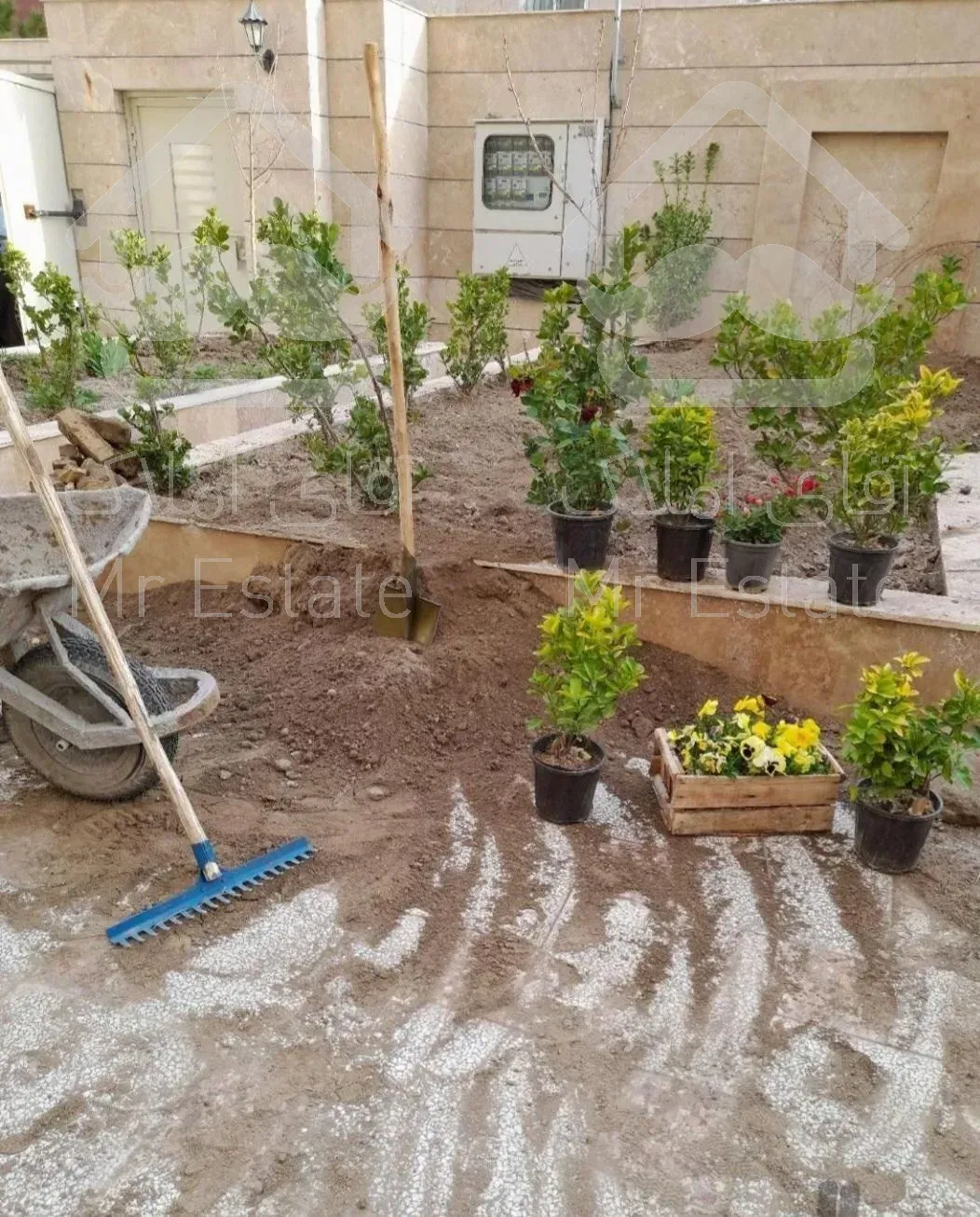 سمپاشی باغبانی درخت کاری وهرس کاری