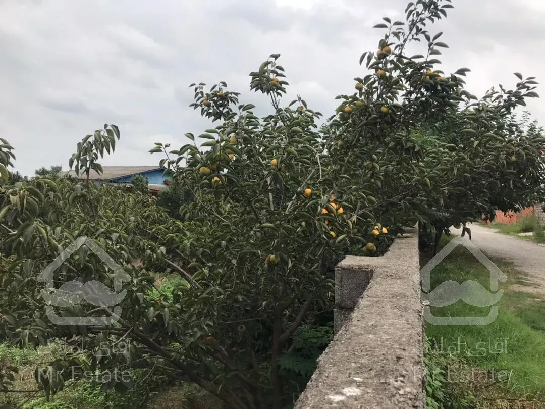 باغ 500مترمربع. محصور. غیربومی. قابل ساخت