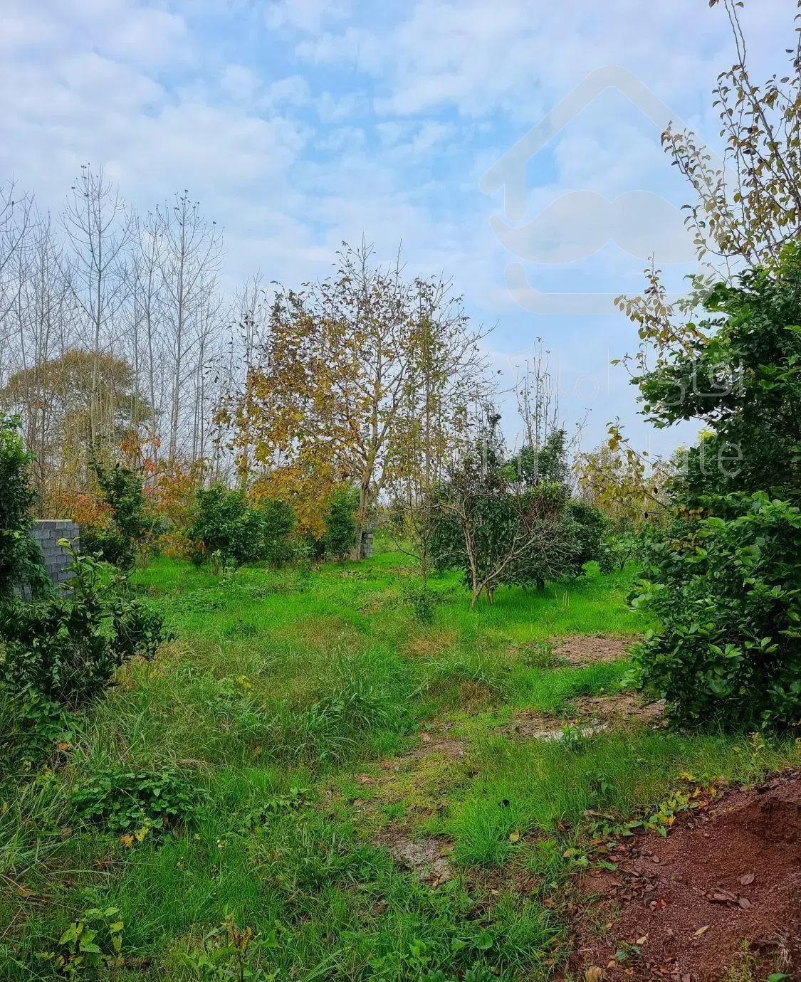 ویلا باغ روستایی ۱۷۰۰ متری  دنج با سند.نزدیک شهر