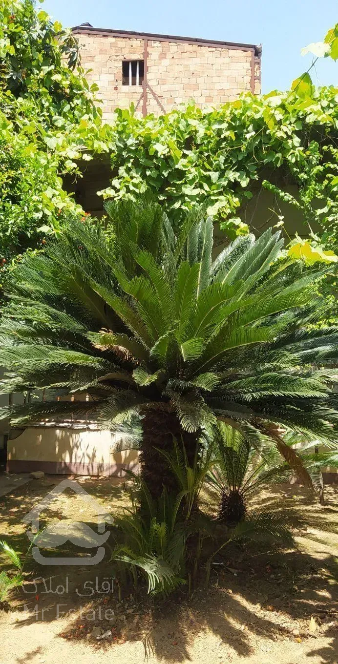 فروش تک واحدی ویلایی200متری حیاط دار در دخانیات