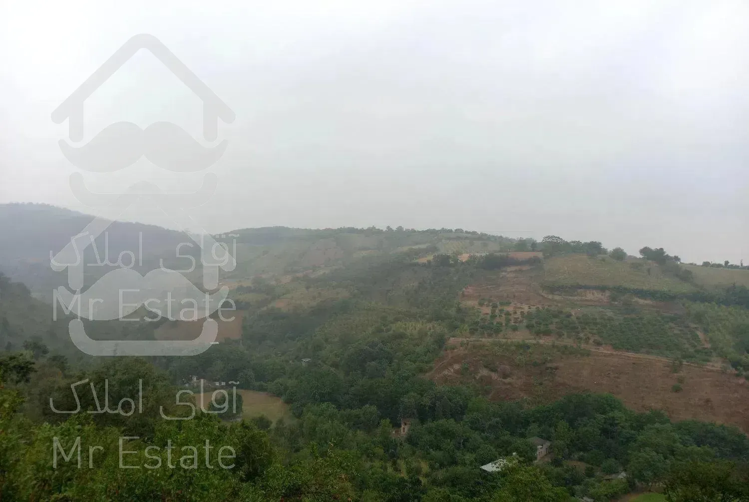 اجاره ویلا جنگلی دربست با ویو ابدی