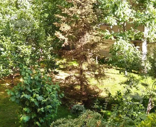 ۱۳۲ متر ولیعصر باغ فردوس