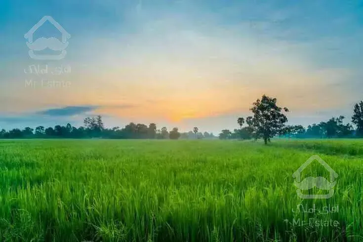 》زمین۱۰هکتاری‌‌سنددار باموقعیت عالی