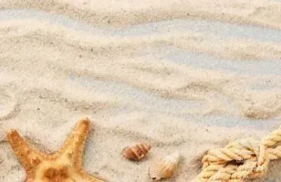 اجاره آپارتمان بدون ودیعه