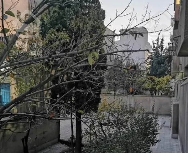 چیذر/بهمن پور/86متر