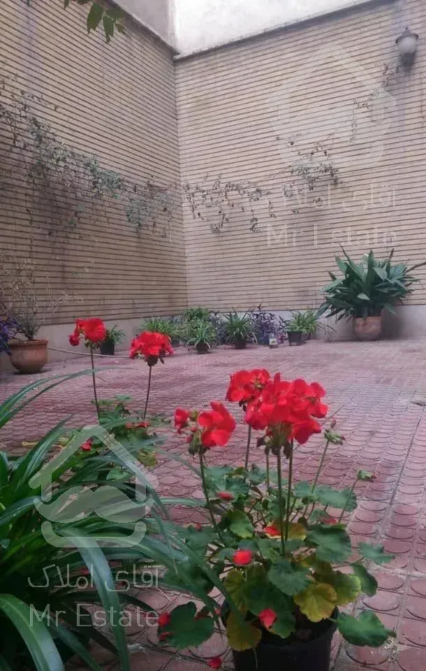 آپارتمان ۵۲ متری تک واحدی با ۴۰ متر حیاط اختصاصی