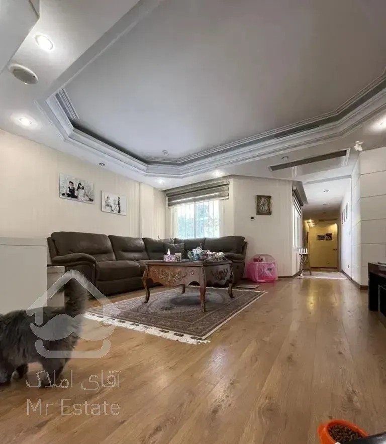 ۱۹۵متر روستاییان/چشم انداز مشجر/۲پارکینگ سندی