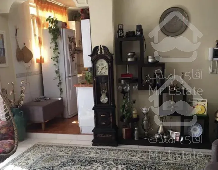 آپارتمان ۵۲ متری با۴۰متر حیاط اختصاصی