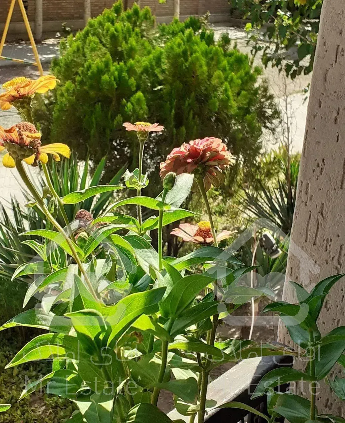 آپارتمان ۱۰۰ متر دو خواب هفت تیر