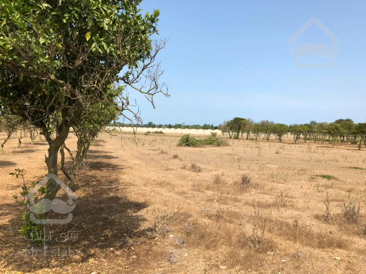 زمین واقع در فرح اباد ساری