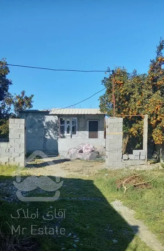 بنای نوساز نقلی بر آسفالت با چشم انداز جنگل