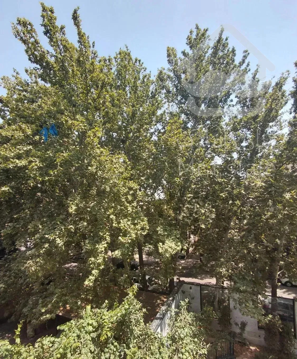 اپارتمان ۱۵۰ متر ۳ خواب رو به افتاب