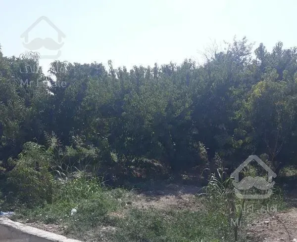 ویلا باغ ۱۰۰۰متر دوخوابه