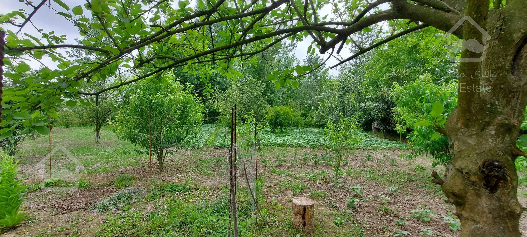 180متر ویلا داخل 3000 متر باغ فروش فوری