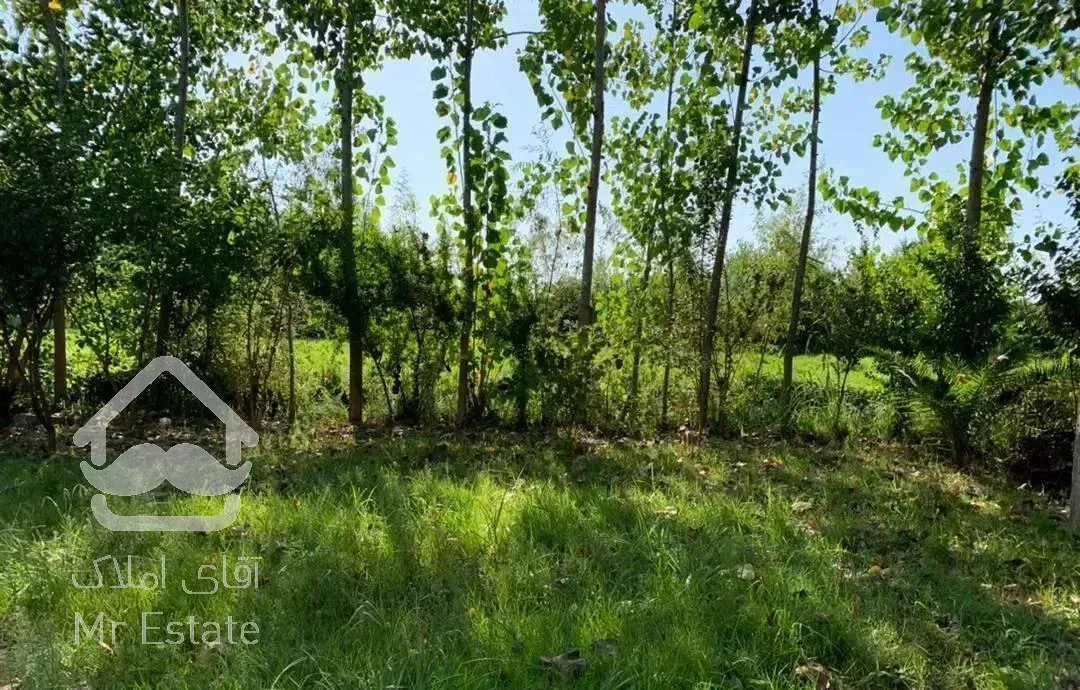 خانه اجاره ای  نزدیک دریا