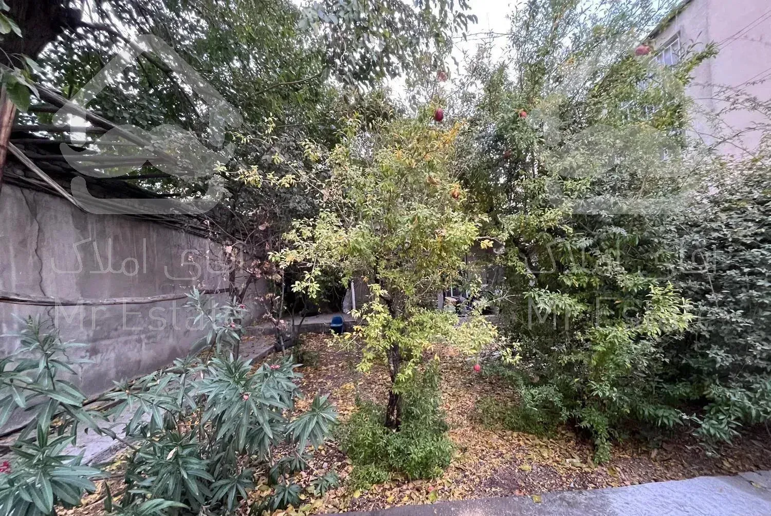 مستغل ده ونک ۸۵ متر ۲ خواب