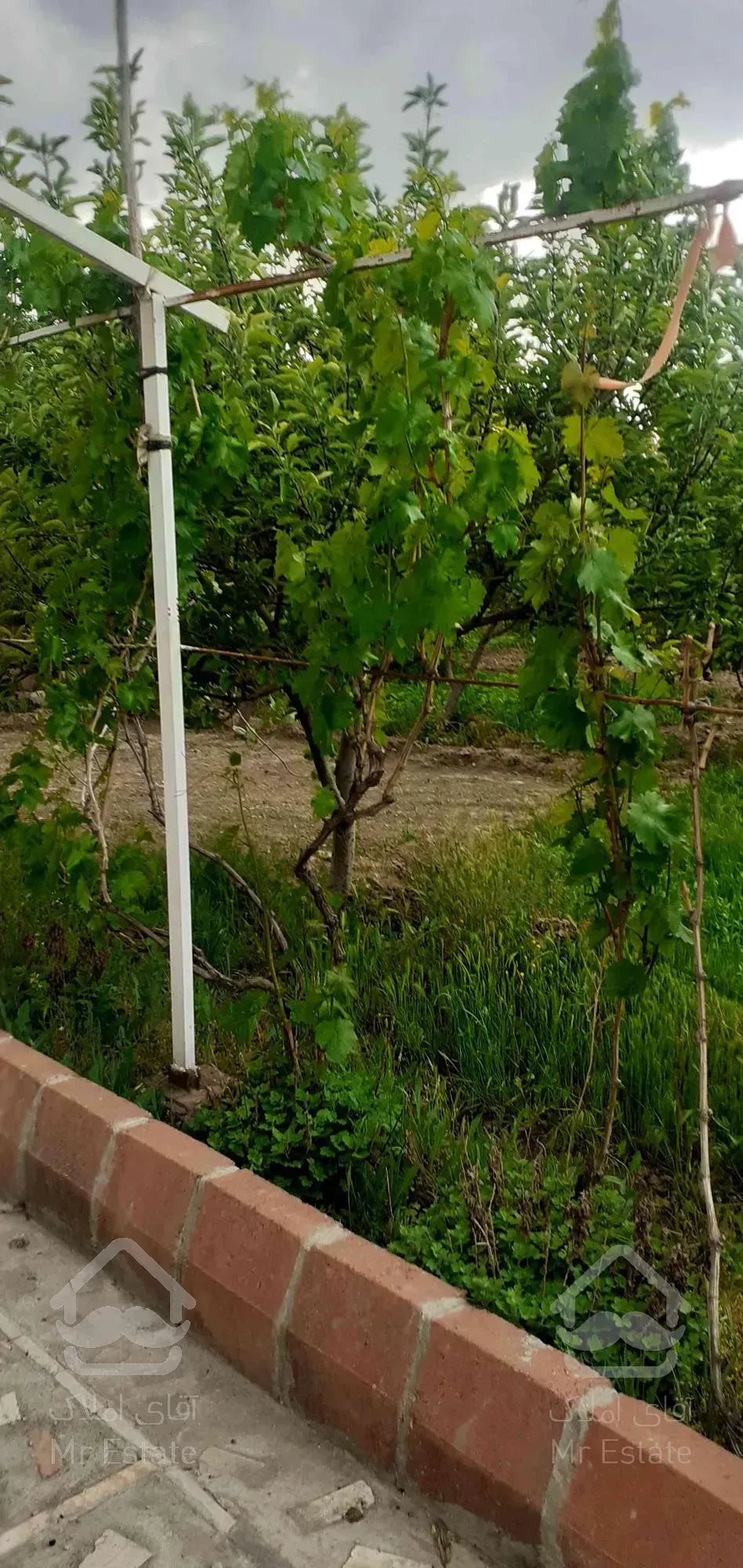 ویلا باغ دارای همه اماکانات در تبریز