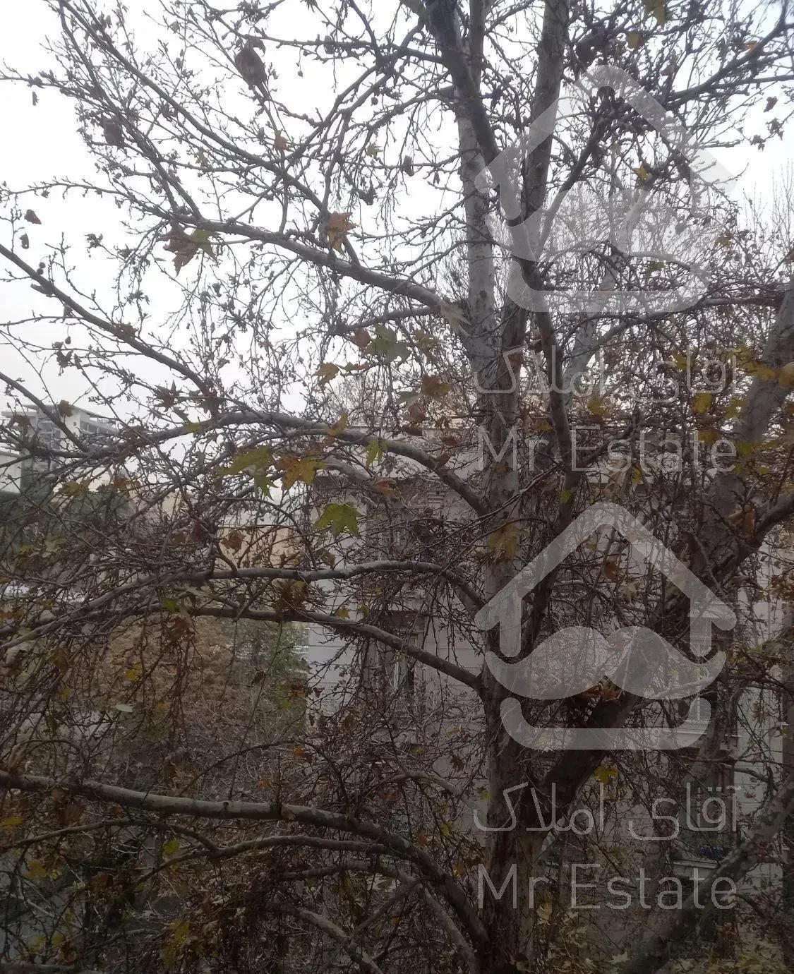 ظفر دو خواب ۱۱۵ متر