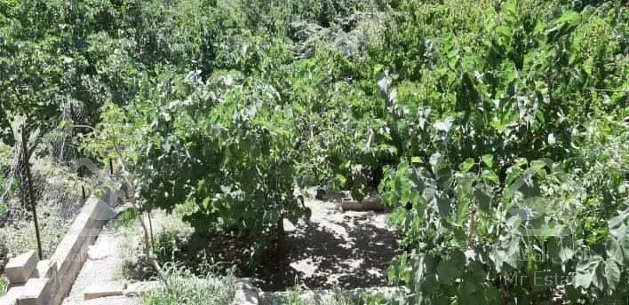 باغچه ۳۲۴ متر سولقان محله پایین فروش و معاوضه