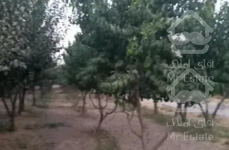 زمین ۵۵۰ متر تهراندشت