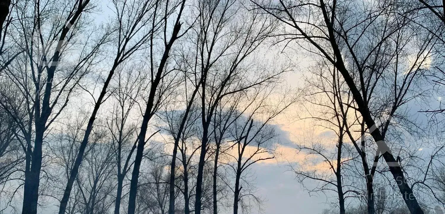 واحد دربست دوخوابه ویو طبیعت