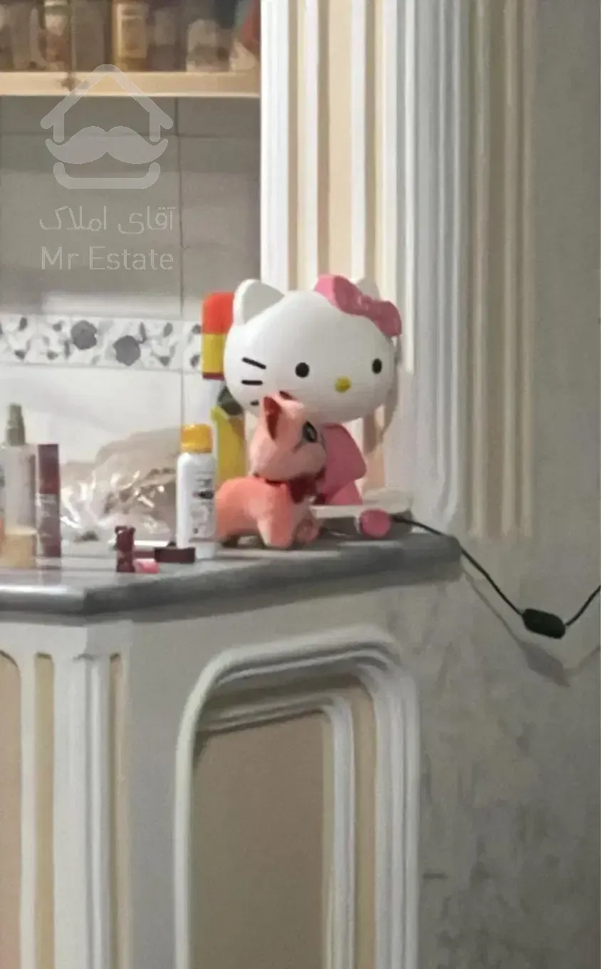 همخونه خانم دانشجو