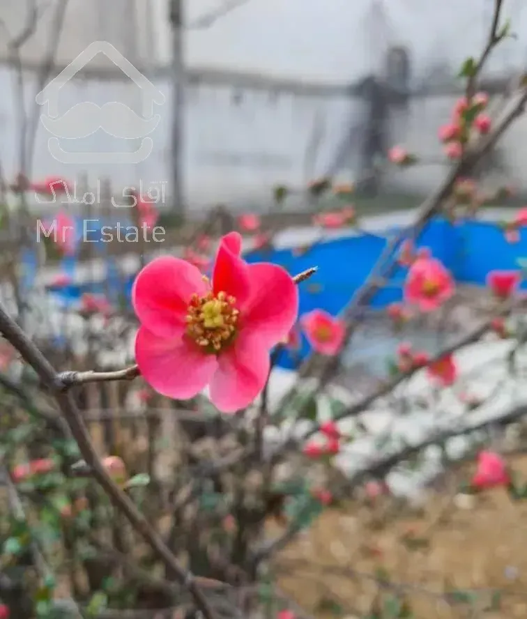 ۲۸۰ متری تک واحدی ۴ خواب