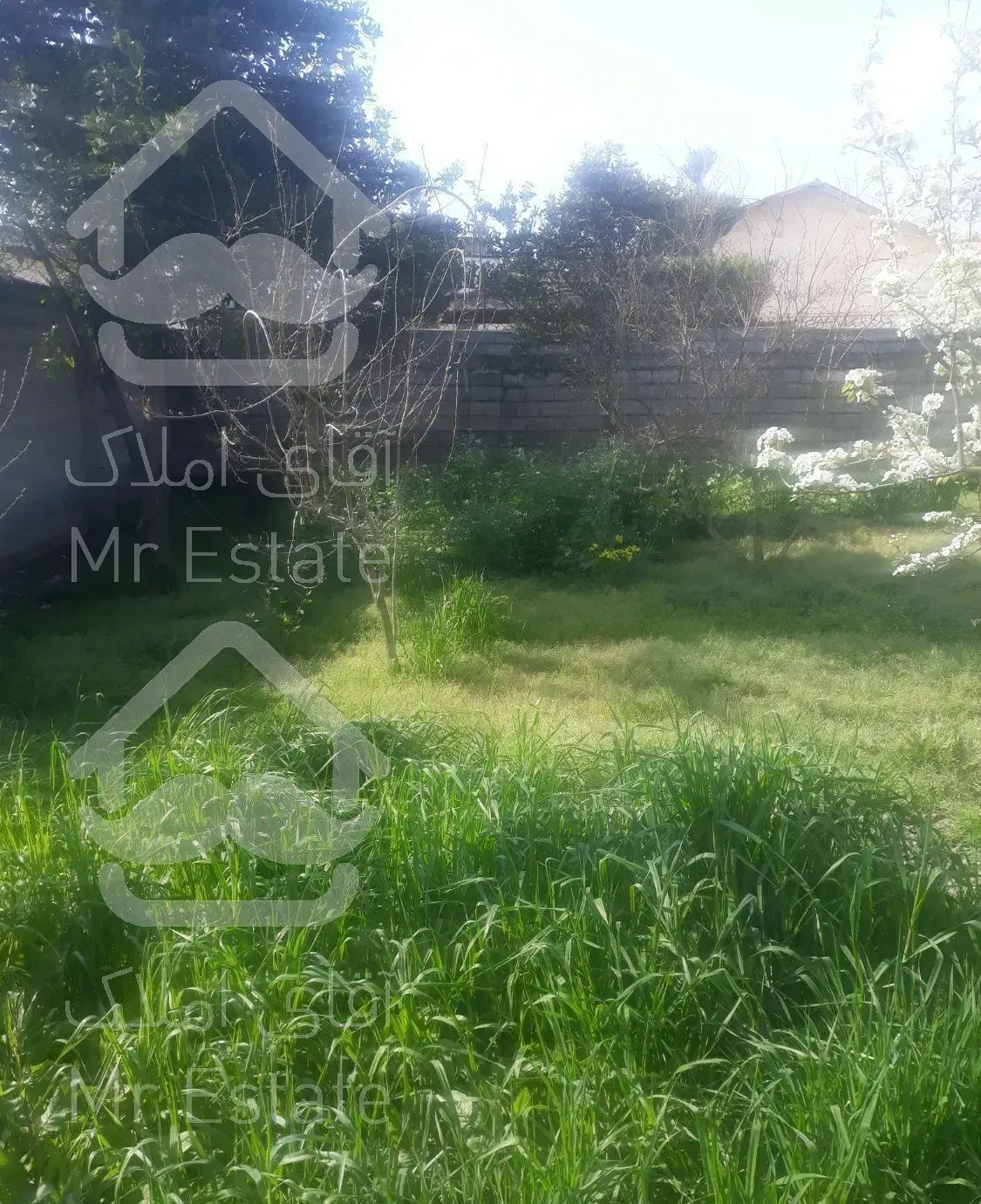 سوییت سرای باغ