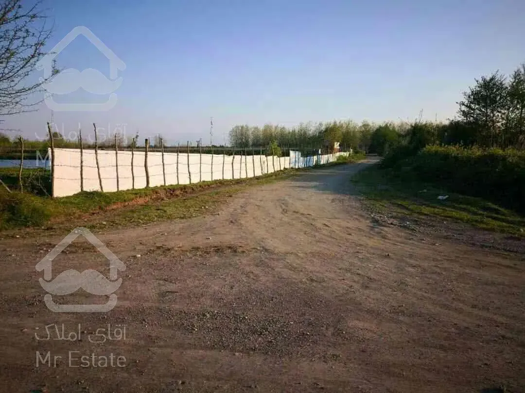 استخرماهی همراه امتیاز وام میلیاردی گیلان