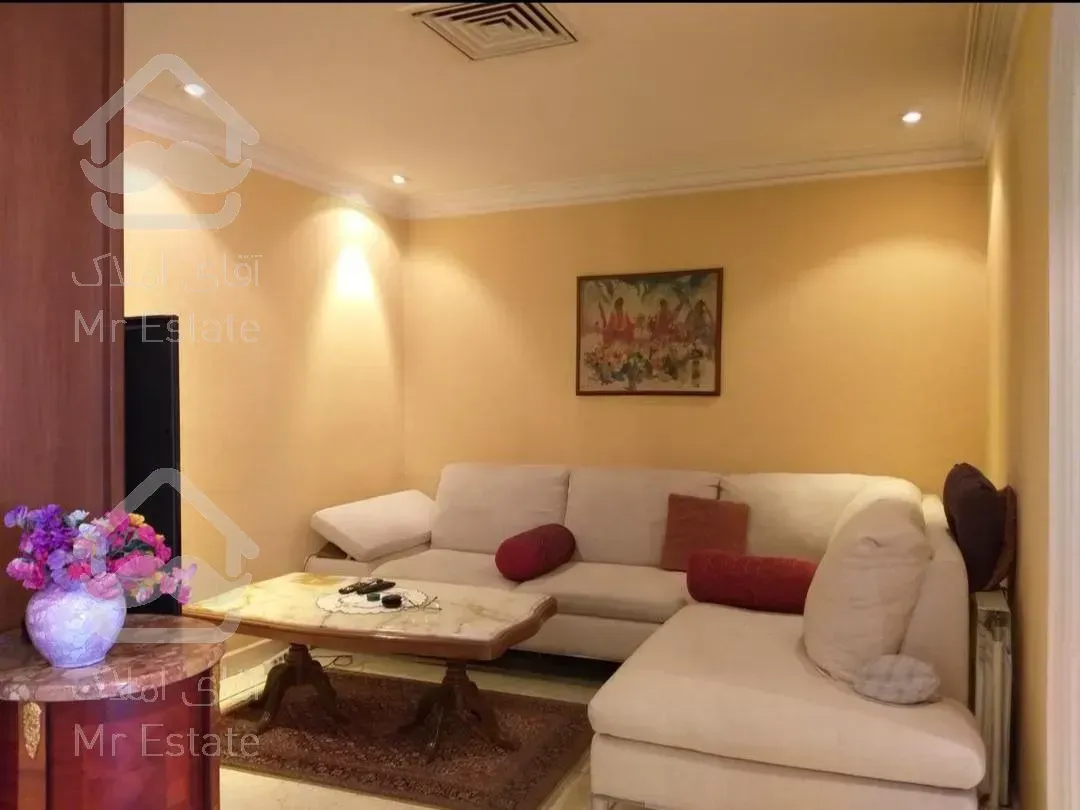 ۱۶۴ متر ولیعصر(پارک وی)،دسترسی راحت