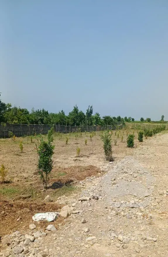 زمین ۱۴۳متری فقط ۶۰۰میلیون اقساطی  به شرایط شما