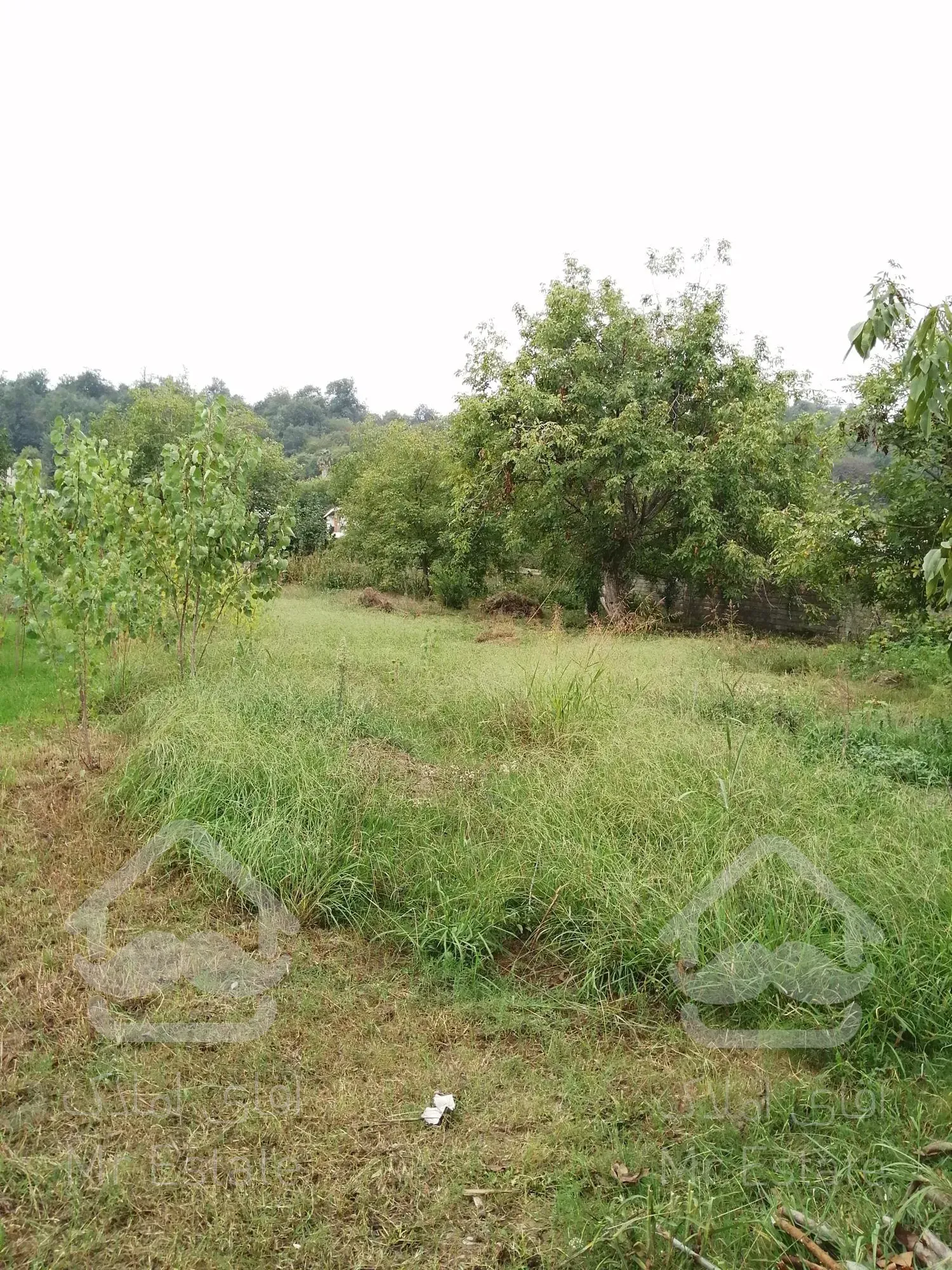 فروش زمین تجاری