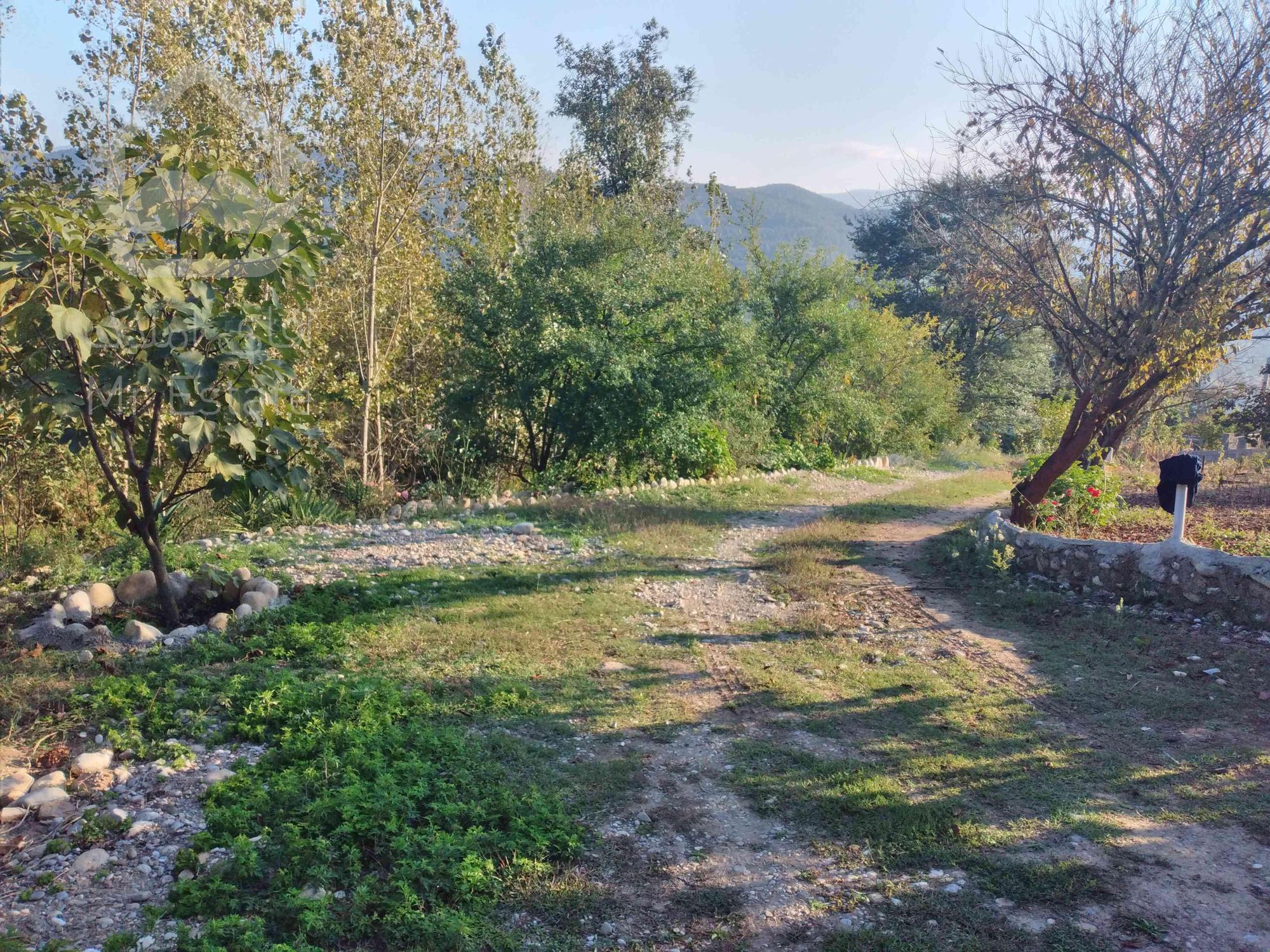 ویلا و باغ در مازندران، ساری، روستای ورند