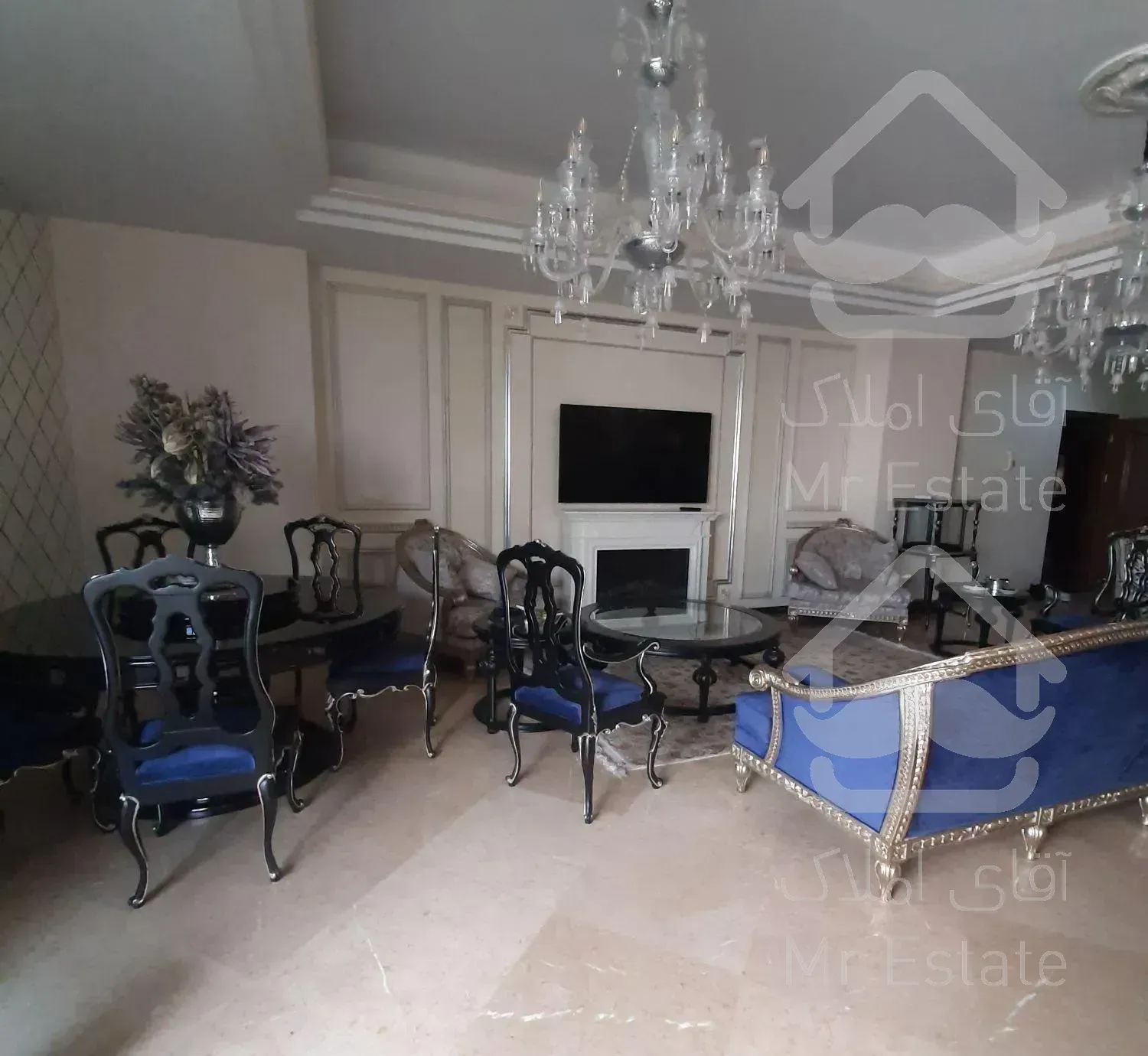 برج باغ آنیسا پارک/فول مشاعات/طبقات بالا/سندتکبرگ