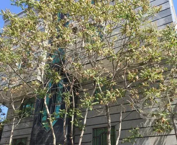 آپارتمان ٨٦ متری گوهردشت شهرک بهداری