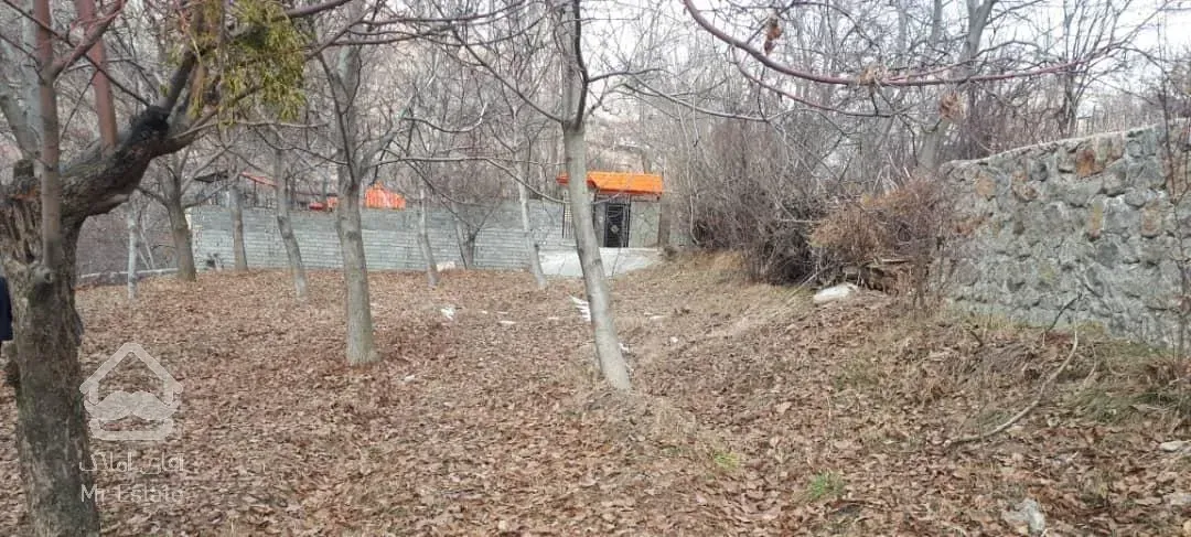 لواسان بزرگ 740 متر  زمین قلفتی