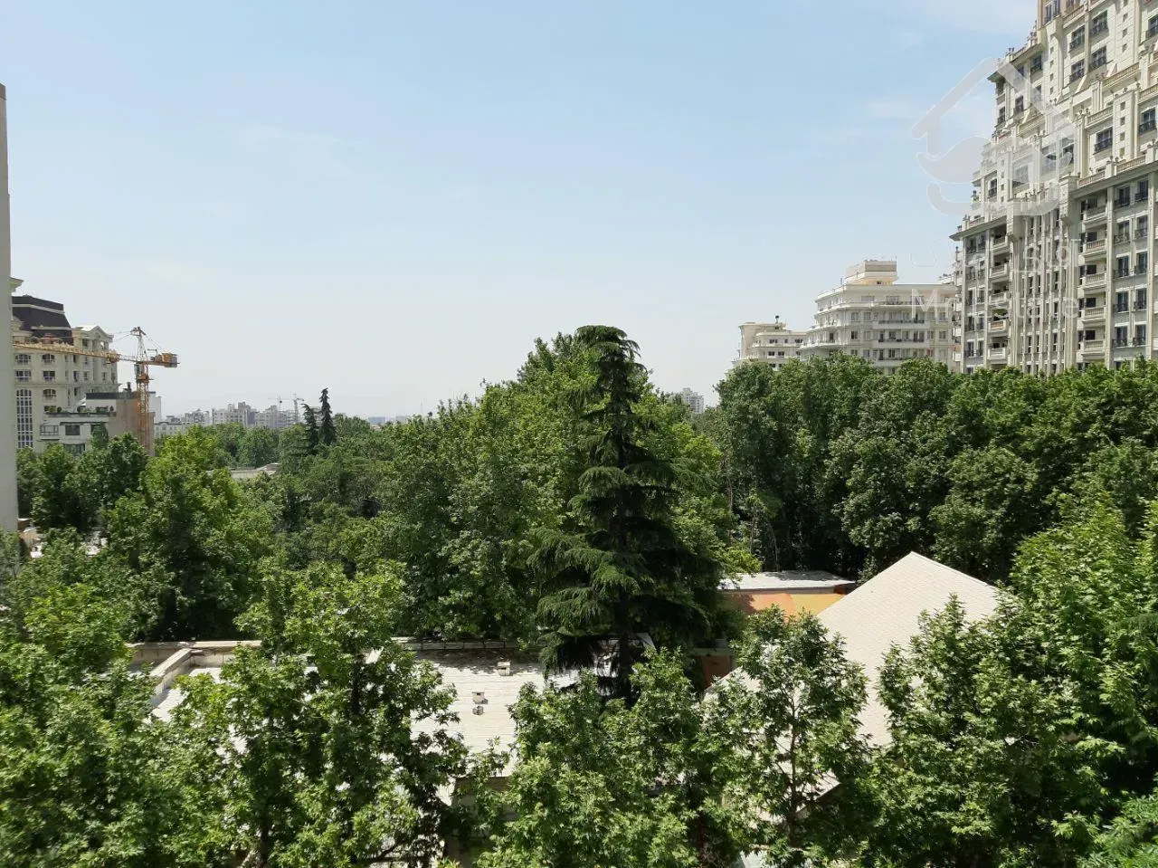 آپارتمان۲۵۰متر نیاوران تراس قابل چیدمان فول نورگیر