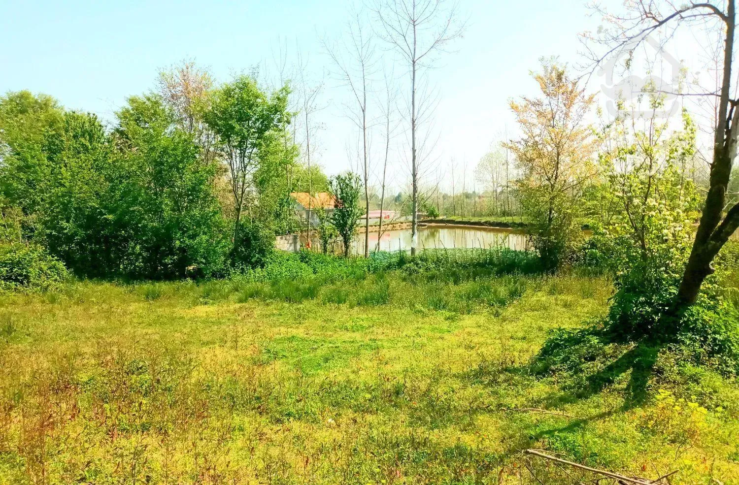 فروش خانه و محوطه همرا با شالیزار