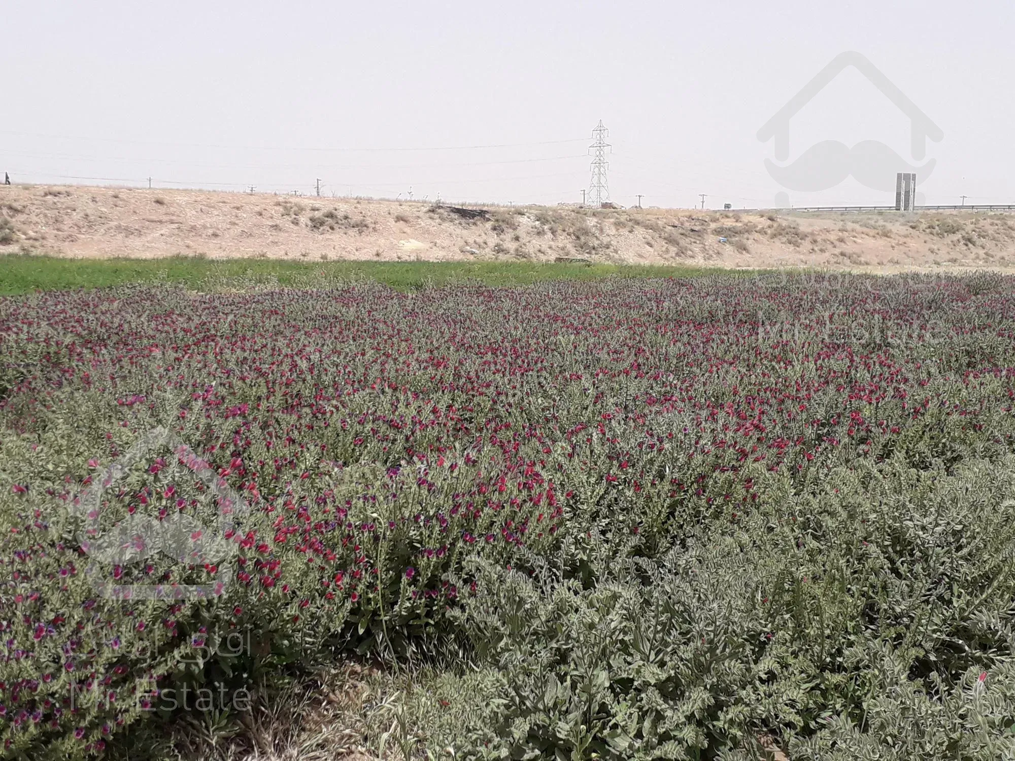 ۱۰۰۰  متر زمین کشاورزی