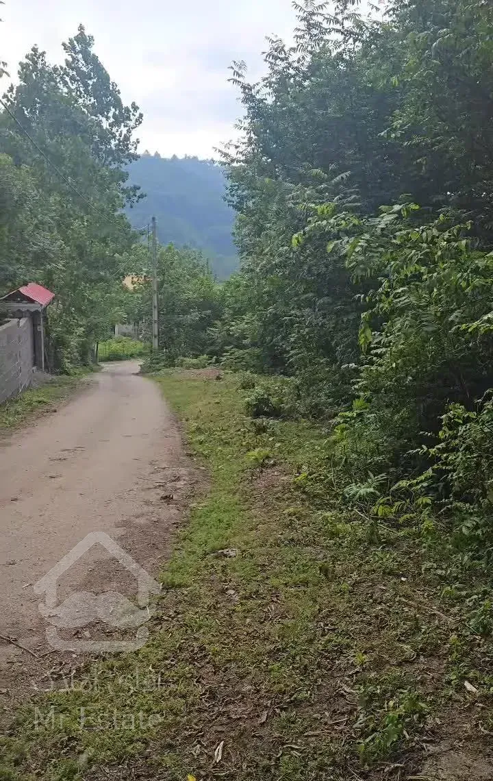 فروش ویلا جنگلی۳۲۰متر/جاش شبیه تو قصه هاست