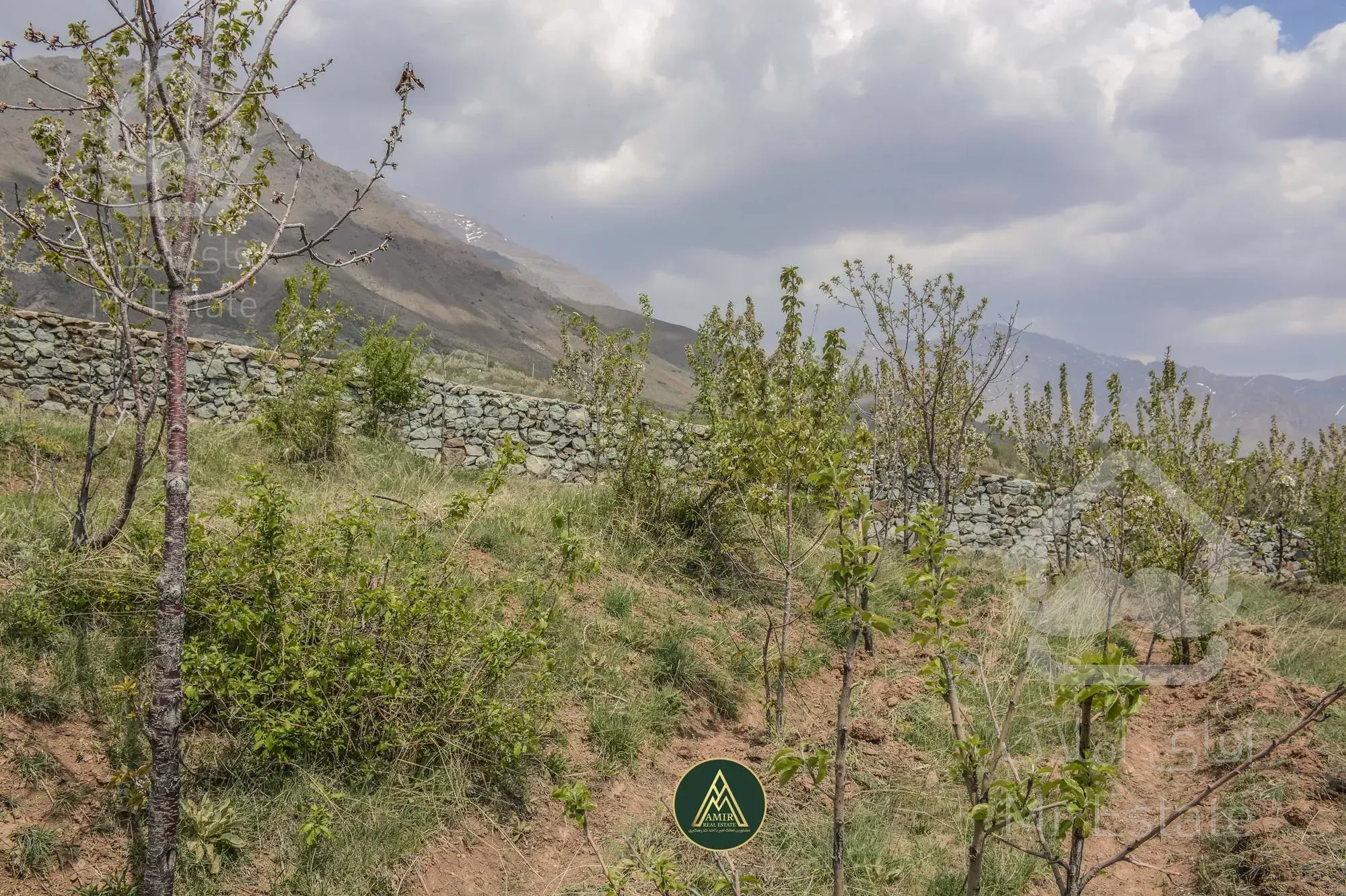 فروش ۱۰۰۰ متر زمین راحت آباد لواسان