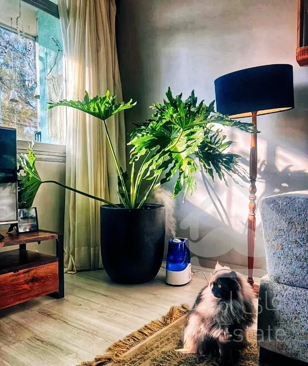 ۱۴۰ متــر/ اول هاشـمیه ۲۸ / تکواحـدی / غرق در نـور