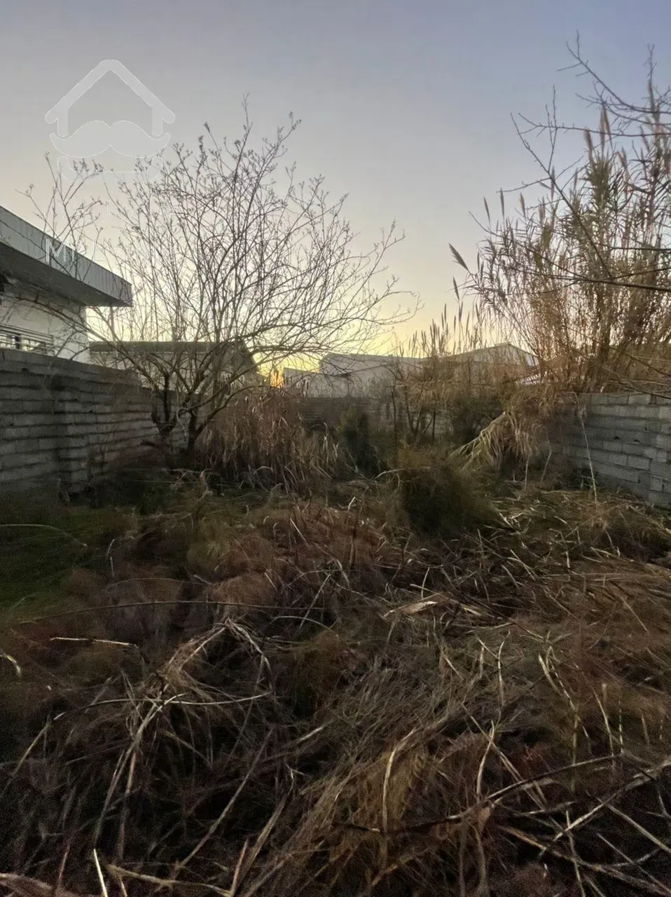 زمین کاملا"غیربومی ومحصور