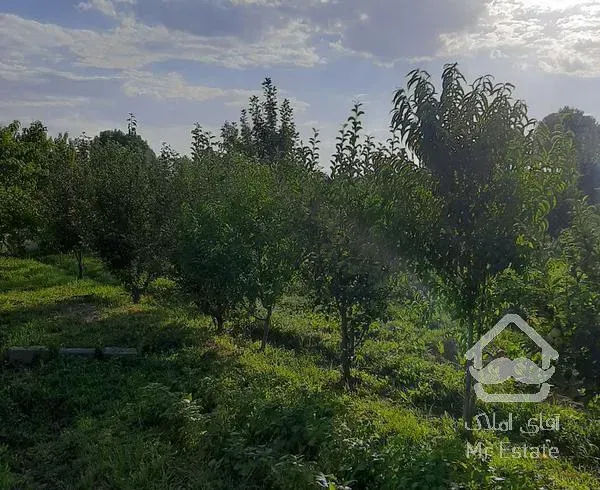 باغ ویلا ۵۰۰متری ابتدای کلفور